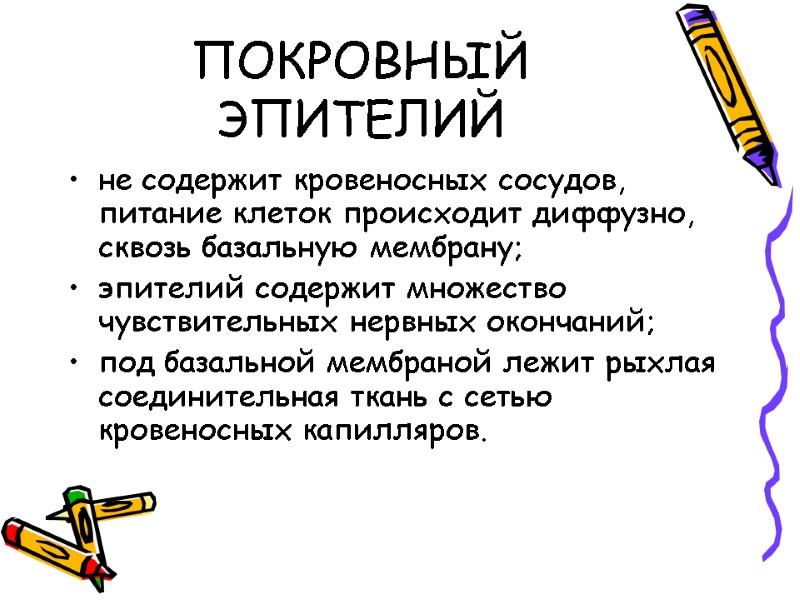 ПОКРОВНЫЙ ЭПИТЕЛИЙ не содержит кровеносных сосудов, питание клеток происходит диффузно, сквозь базальную мембрану; эпителий